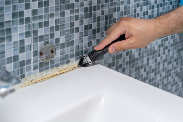 Best Office Mold Removal Services  in Country Club Estates, GA